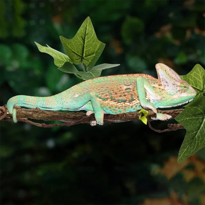 Bearded Dragon Accessories Set - 2 Hammocks, Bendable Vines & Leaves With Suction Cups