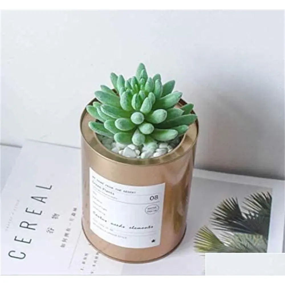 Flocking flower arrangement accessories fake succulent plastic decorative plant potted simulation