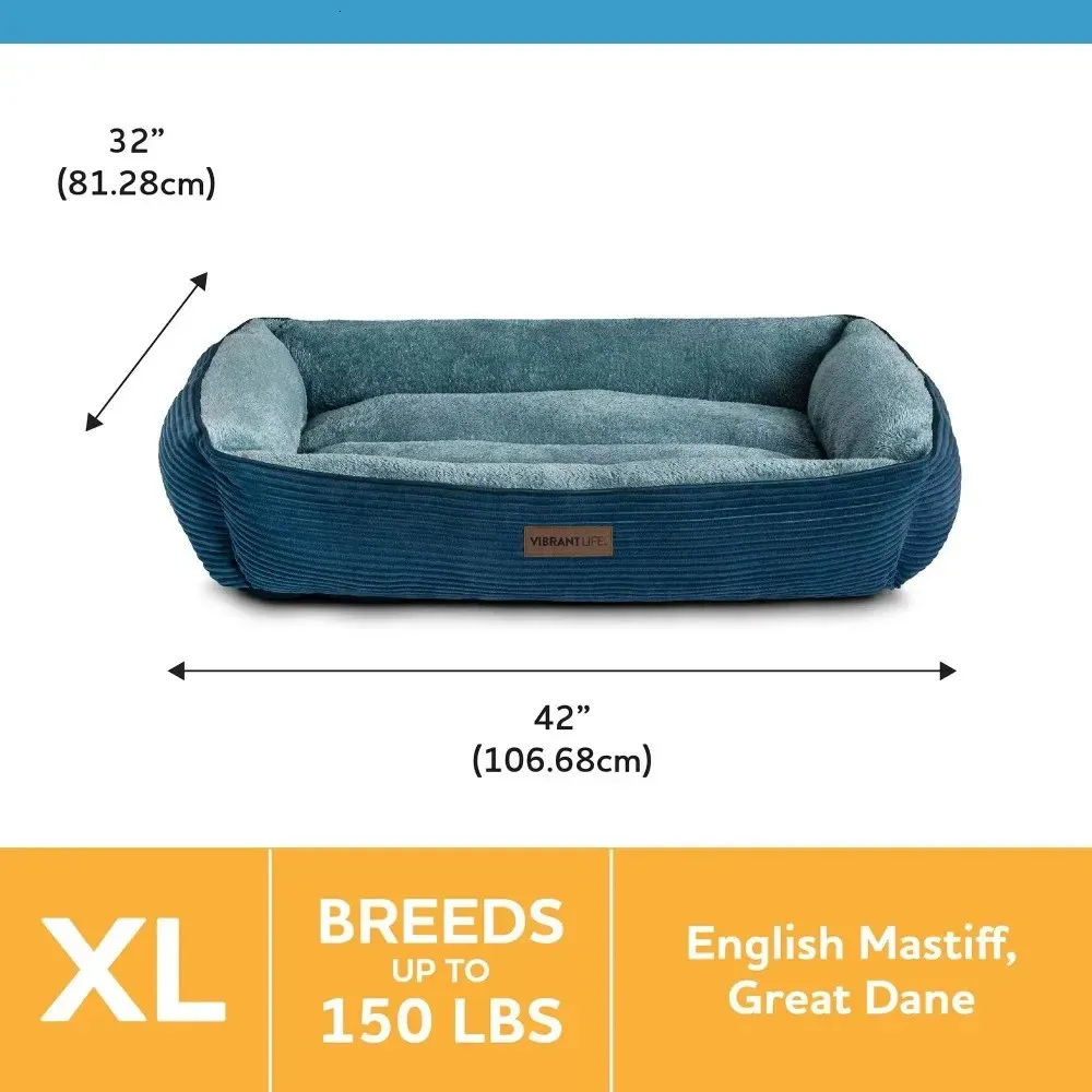 Vibrant clearance dog bed