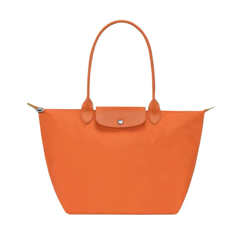 Dhgate longchamp 2025