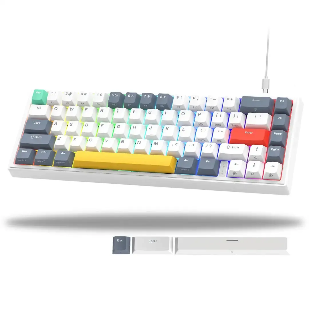 Tastaturen 60-Dichtung Mechanische Gaming-Tastatur mit roten Schaltern Abnehmbares Typ-C-Kabel mit Hintergrundbeleuchtung Mini für Windows Mac PC Laptop 231130