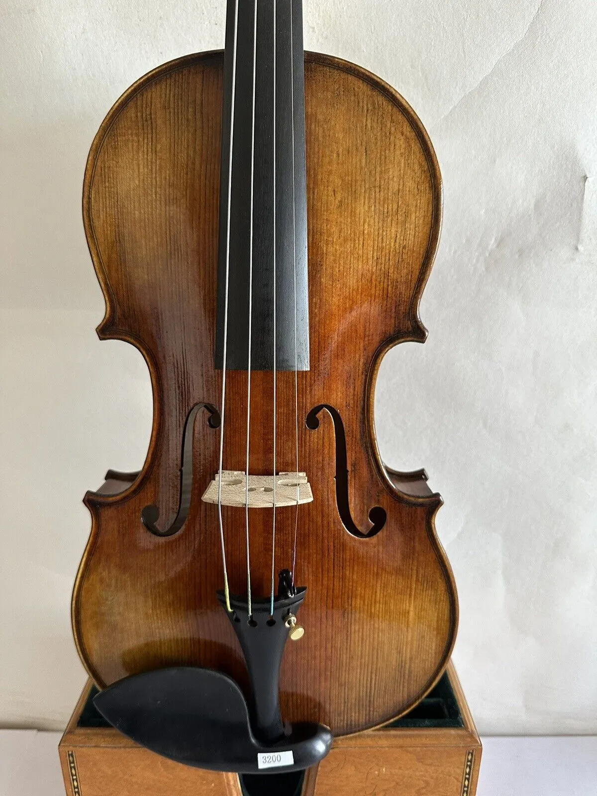 4/4 violino Stradi Modelo 1716 bordo flamejado com parte traseira em abeto esculpido à mão K3200 2023