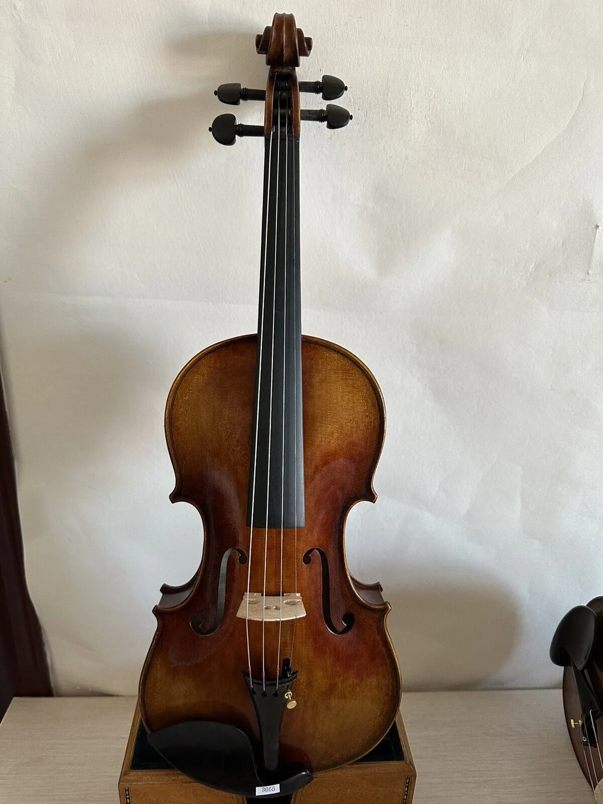 Spruce Instruments Professional 4/4 Violin - Solid Flamed Maple Back, Aged Spruce Top ...