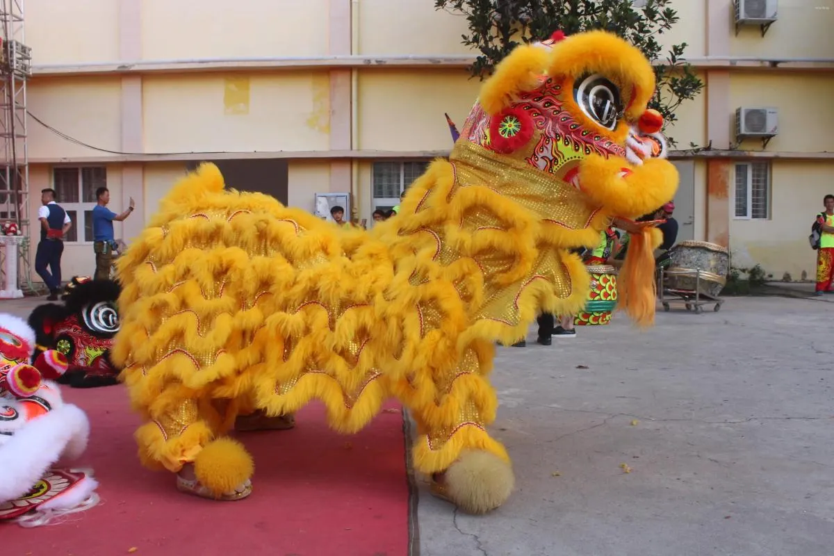 Palco desgaste adulto 2 jogador festa desempenho esporte ao ar livre desfile mascote sul leão dança roupas traje de dança