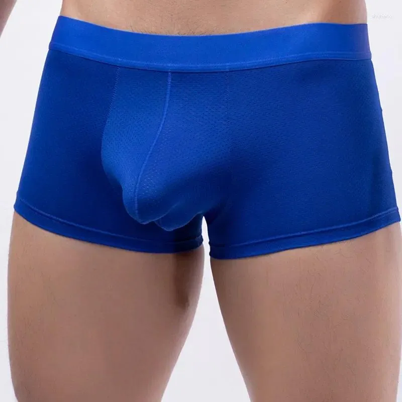 Underpants Mens Boxer Pants Sexy Mesh Underwear Breathable Sports
