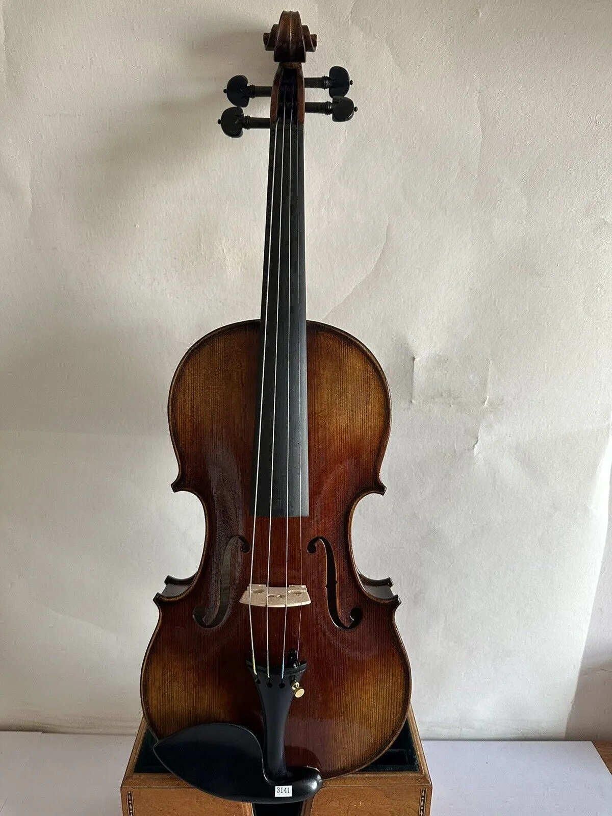 Master 4/4 Violín Stradi modelo 1 pieza parte trasera de arce flameado tapa de abeto hecha a mano K3141