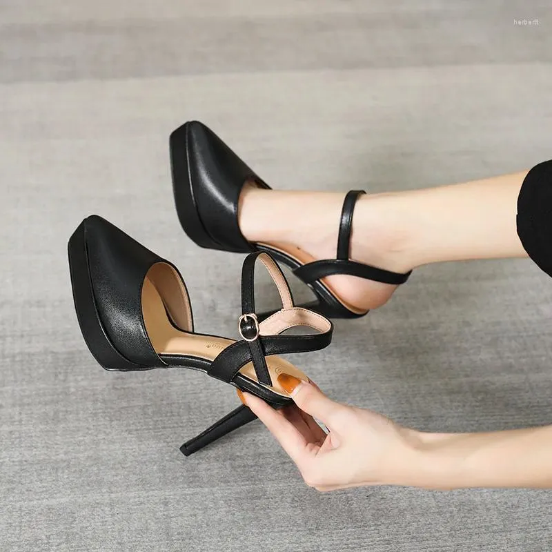 Dress Shoes Fashion Women's Pumps Platform Shoe Concise Ladies Office Super High Heels 13cm Stiletto Pointed Toe For Women