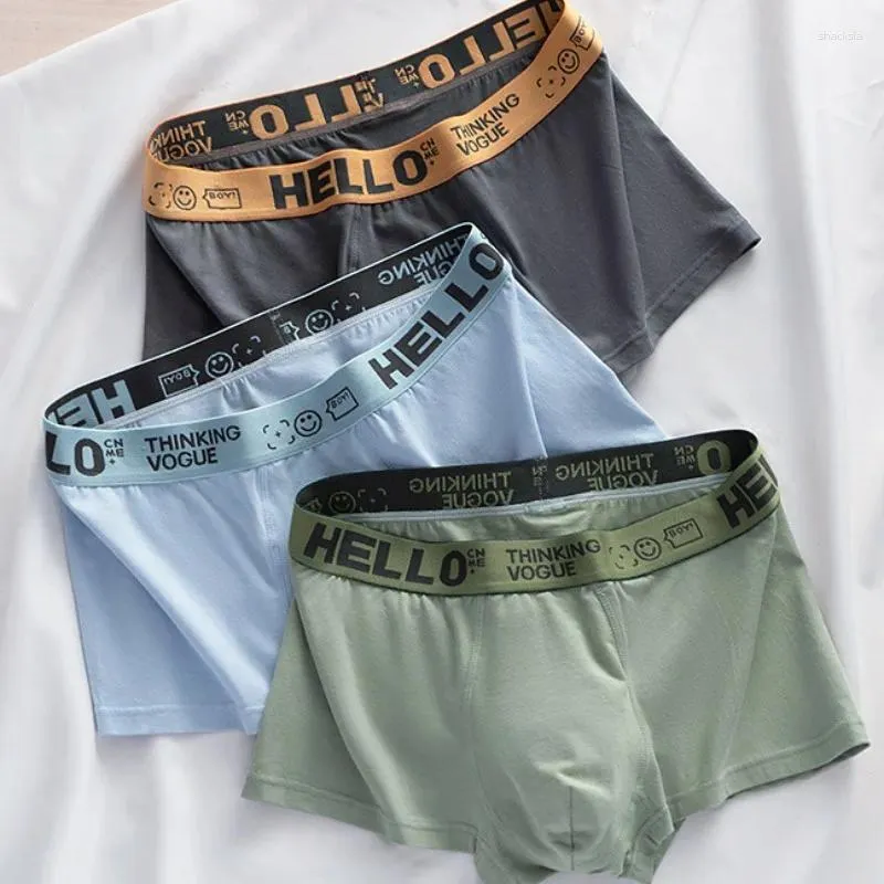 UNDUPTS 1pc/5pcs Erkek Panties Moda Boksör Şort Rahat Pamuk Kasık Orta Yükselme İç Çamaşır Erkekler Düz iç çamaşırı L-3XL