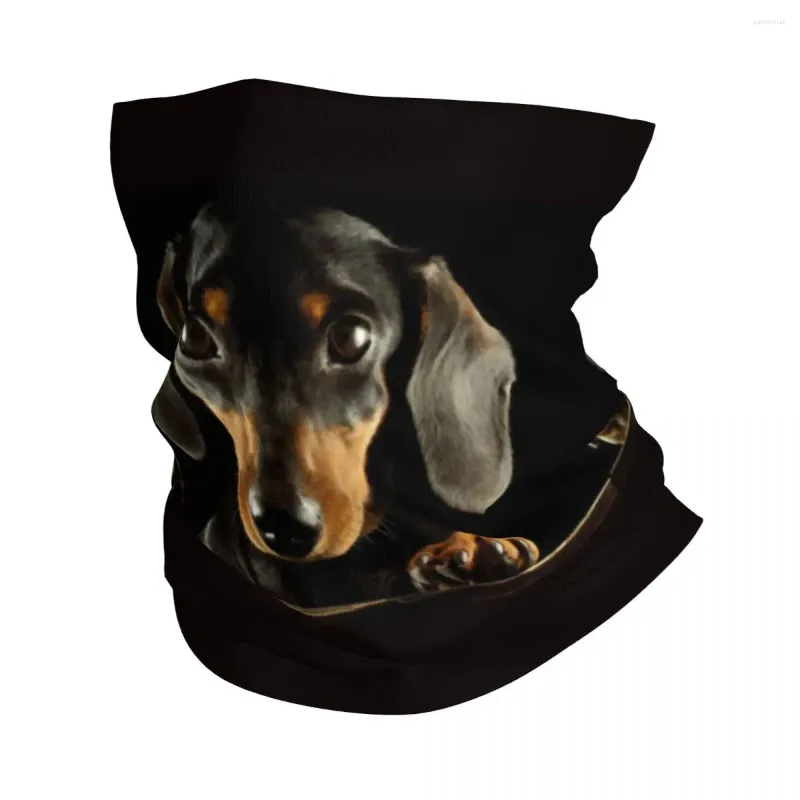 Bandanas sevimli dachshund köpek bandana boyun gaiter kayak avı kadın erkekler sarar puppy pet kafa bandı ısıtıcı