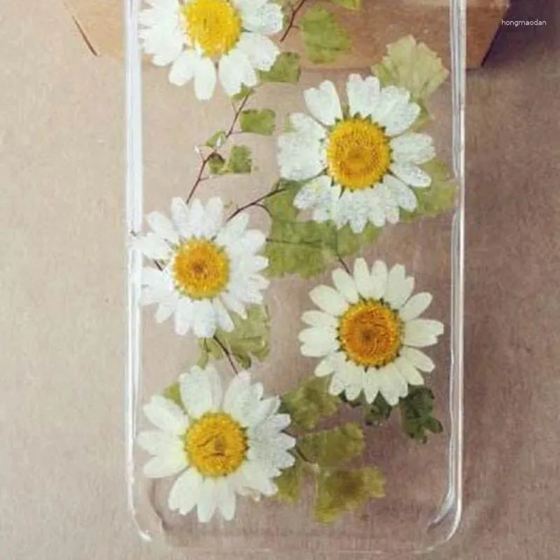 Fleurs décoratives 30 pièces chrysanthème en cristal blanc teint grand spécimen de plante marguerite en relief époxy fleur séchée pressée bricolage à la main