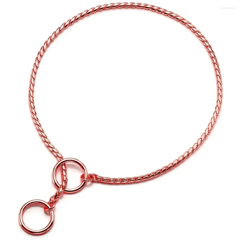 Coleiras de cachorro Metal Chain Show Collar Pet Slip para Shows Fine Brass Snake Choke Ajustável Pequeno Médio Grande Cães