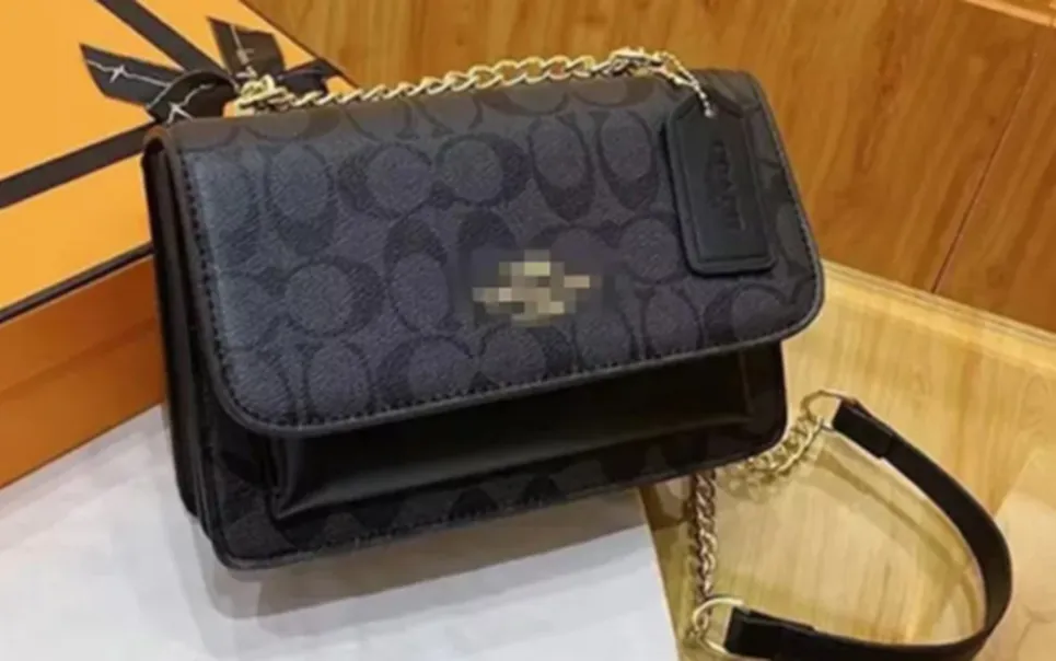 Eeh Handbag Ladies Luxury Facs Designer Mini Bag Leisure Travel Ribbon Bag Bag Passion Material Contter Wallet 058r