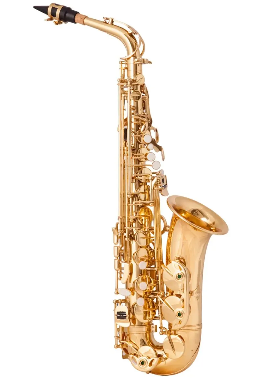 Custome Logo Eb Tune Saxophone Brass Plated Woodwind Instrument High Quality In Stock With Accessories Free Shipping