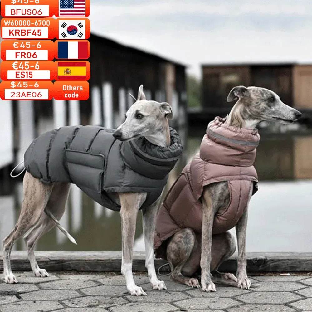 Hondenkleding Grote winter warme katoenen jas Verstelbaar Medium Large Verdikt reflecterend vest Kleding Donsjack Whippets Hound 231204