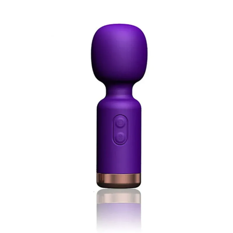 Bullet Vibrator USB Charge 10 Speed Mini voor vrouwen Valse penis Seksueel speelgoed 231204