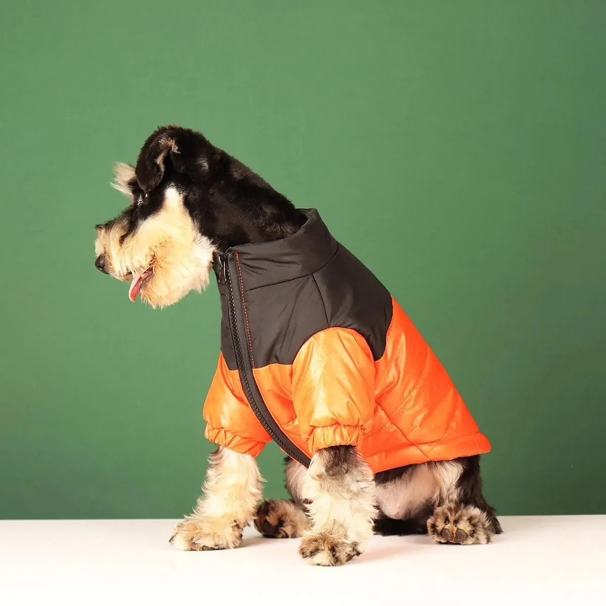 Hundebekleidung Designer-Hundekleidung für kleine Hunde Winterwarmer Mantel für Französische Bulldogge Yorkies Outfit Welpenkleidung Mopskostüm PC2321 231205