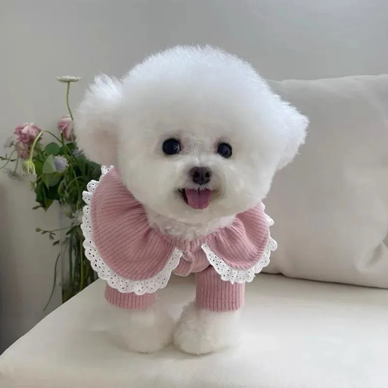 Dog Apparel Lace Lapel Collar Sweaters Dog Clothes Kawaii Knit Cardigan Small Dogs Clothing Cat Autumn Winter Warm Costume Sweet Pet Items 231205
