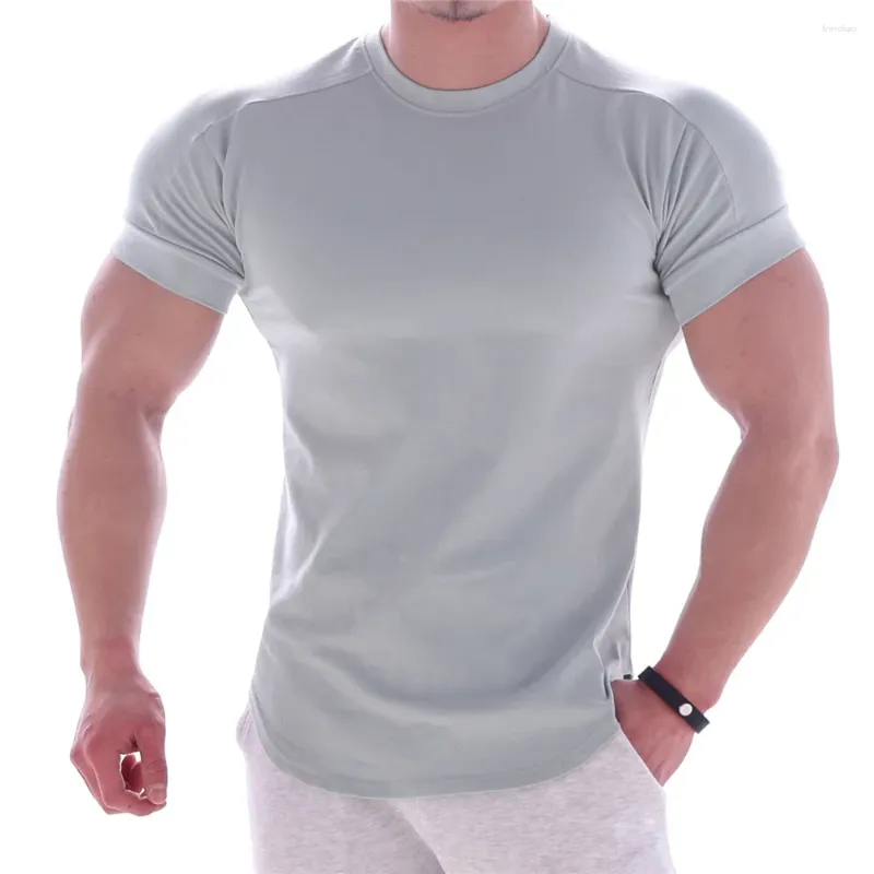 Ternos masculinos a2551 camiseta de ginástica masculina manga curta casual em branco slim camiseta masculina fitness musculação treino camisetas roupas de verão