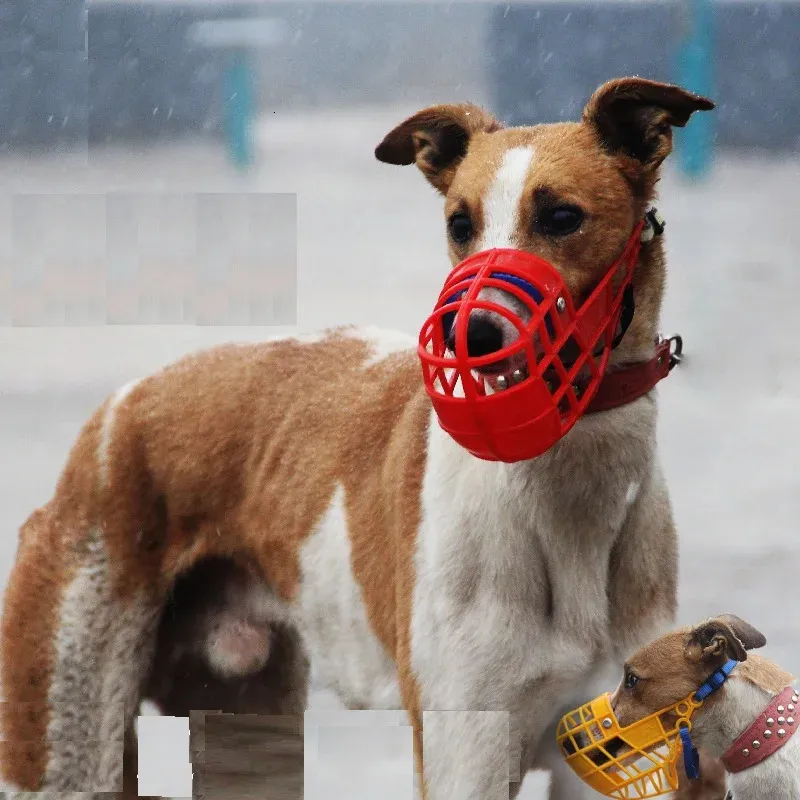 Museruola per addestramento del cane Obbedienza Museruola per cane traspirante Cani di taglia grande Smettono di mordere Abbaiare Masticare per levriero Gree Whippet forniture 231206