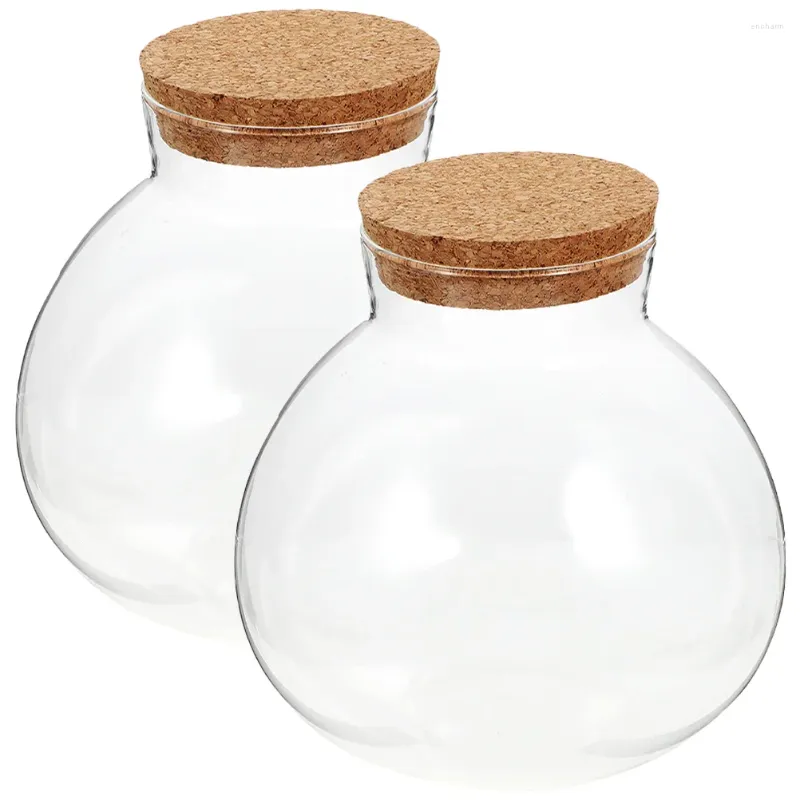 Vasen Mini-Landschaftsflasche, versiegeltes klares Terrariumglas, Mikrolandschaftsglas, kugelförmig, ökologisch