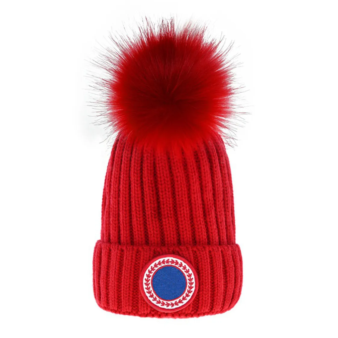 Modedesigner Beanie Skull Caps Designer Stilvolle Goose Cap Brief Winter Luxus Mützen Für Männer Frauen Warme Wollmütze Unisex B-1