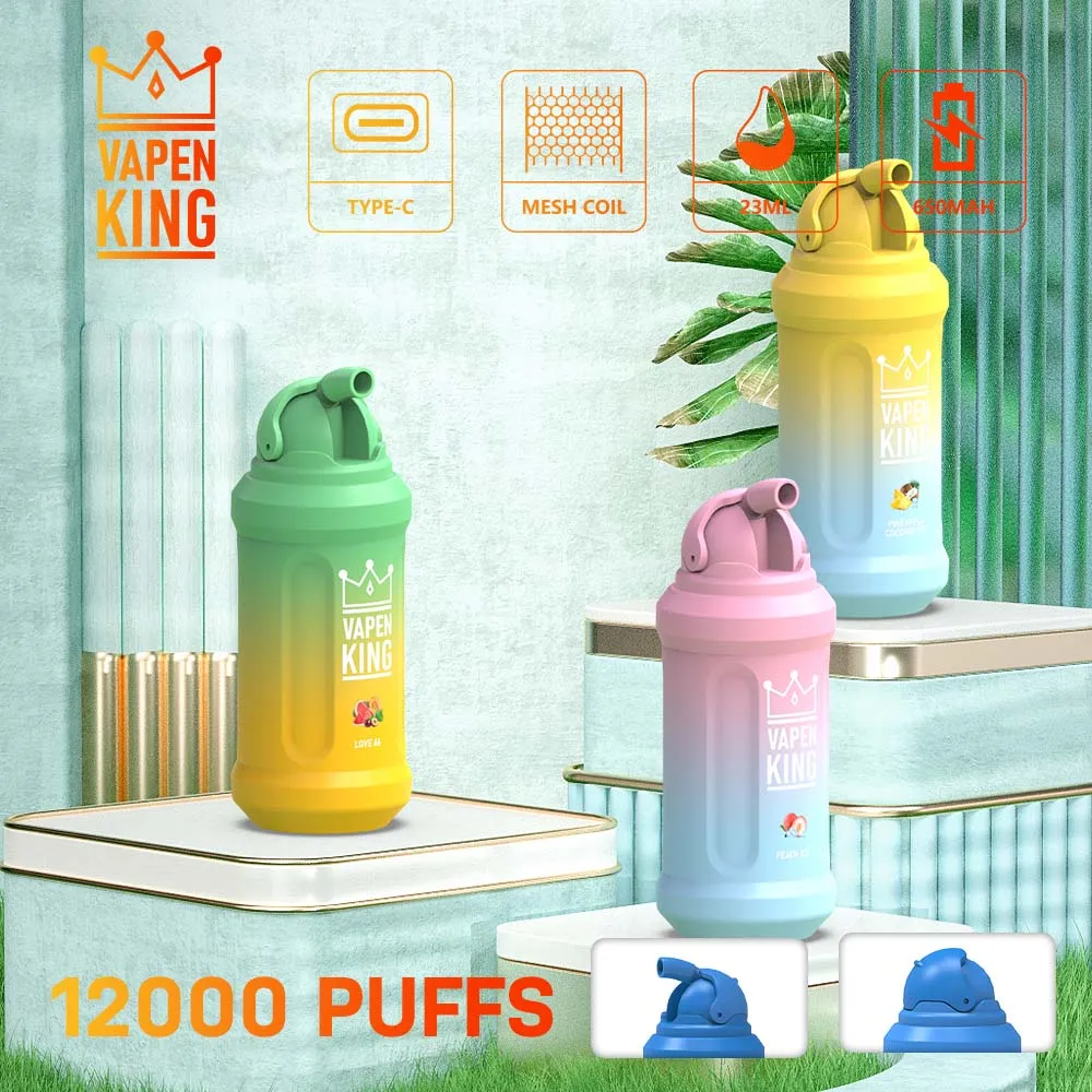 Original VAPEN King 12000 Puff 12000 Disposable Vape Pen E cigarettes 23ml Pre filled Pods Cartridge 650mAh Rechargeable Battery Puffs 12K Instock