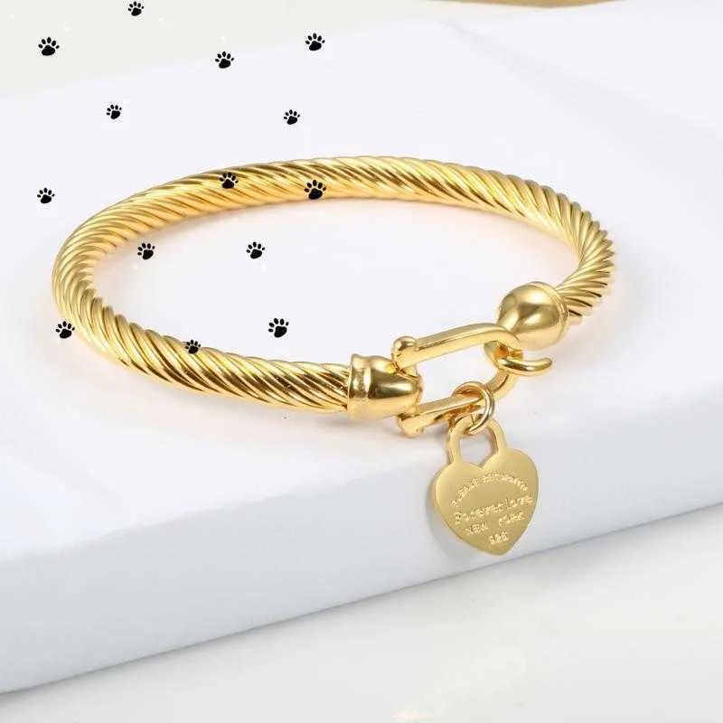 Tiffanylris Titanium Steel Bangle Bangle Coll Color Love Heart Charm Bracelet مع إغلاق الخطاف للنساء للرجال مجوهرات الزفاف