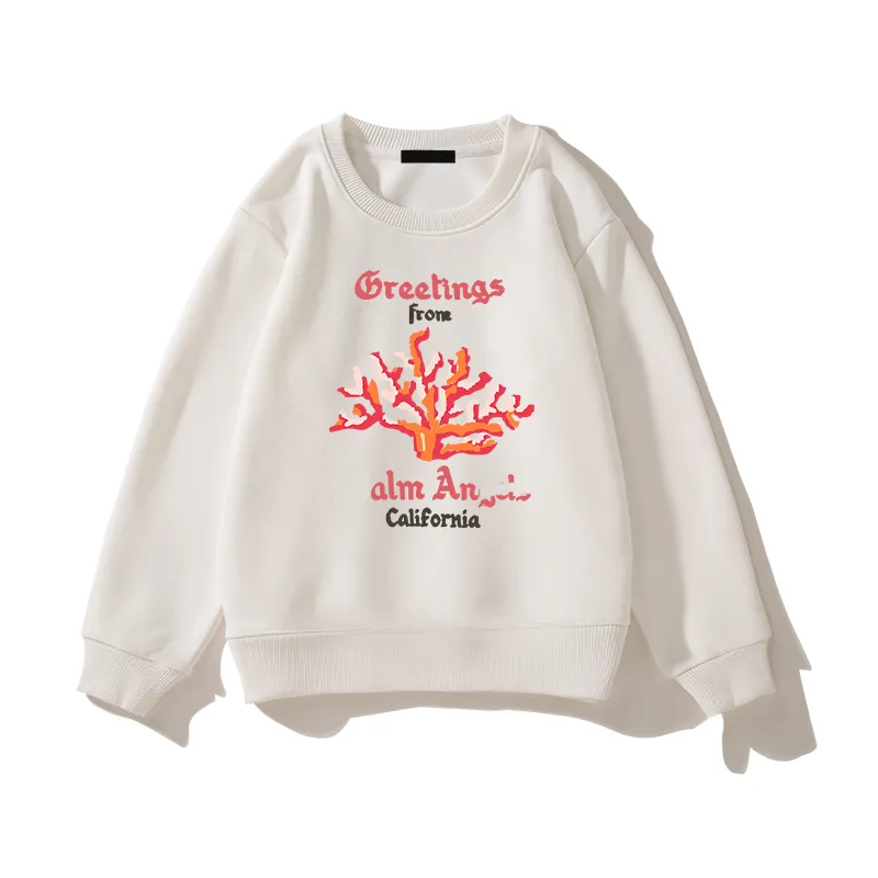 Ropa de diseñador para niños Sudaderas con capucha para niños Sudaderas para bebés de invierno Sudadera con capucha para niños pequeños Suéter Marca Niños Niñas Sudadera Suéteres para niños CYD23120801