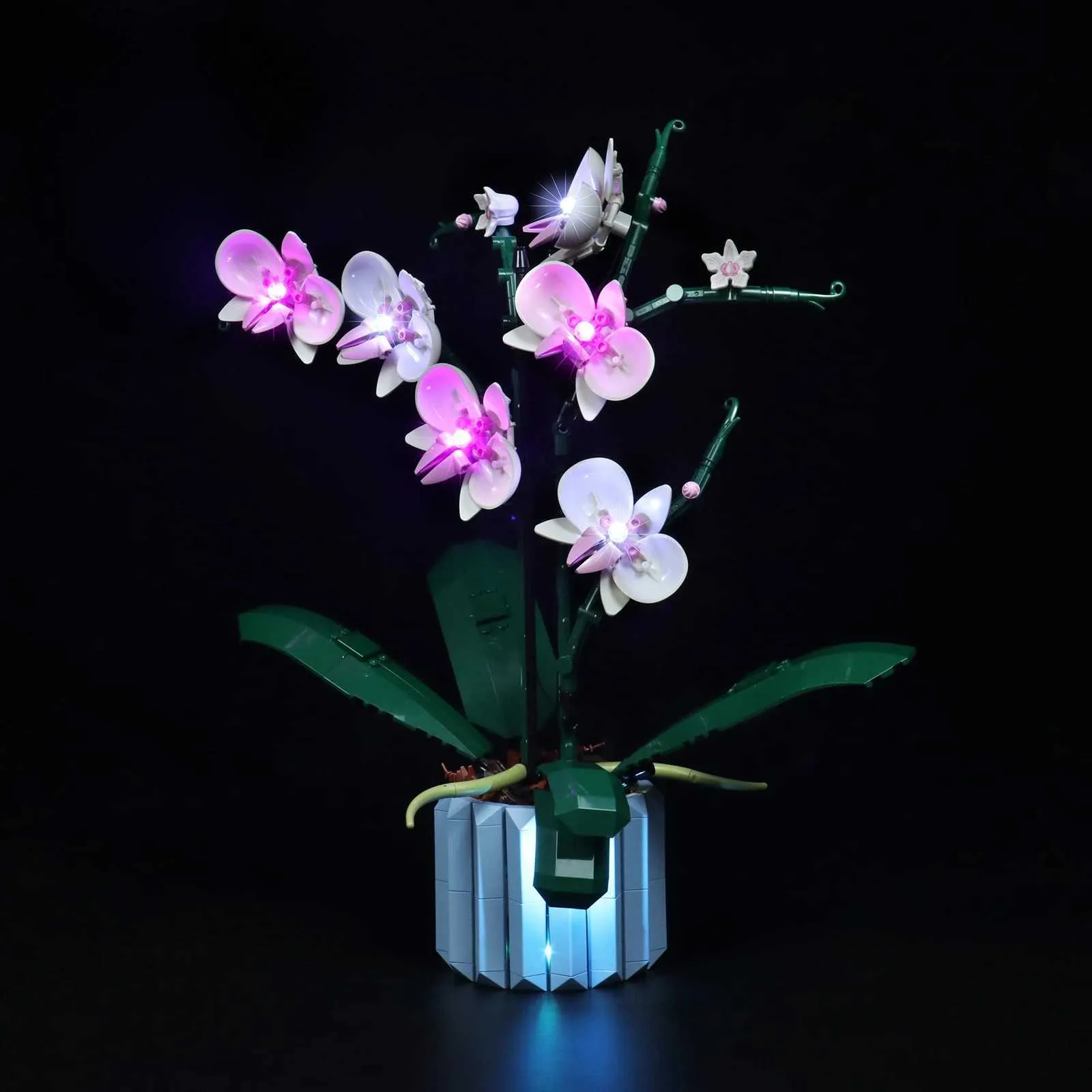 Block Lazishi LED -ljus för 10311 Orchid -belysning DIY -leksaker (inkluderar inte modellen) R231208