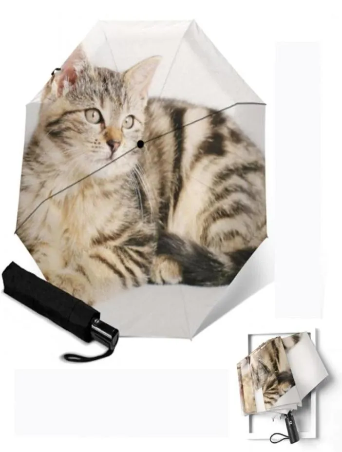 Regenschirme Tabby -Katze gedruckt vollautomatisch sonnig regnerei Parasol Antiuv -Regenschirm für Frauen Mode kreativ 3 Falten parapluie7541913