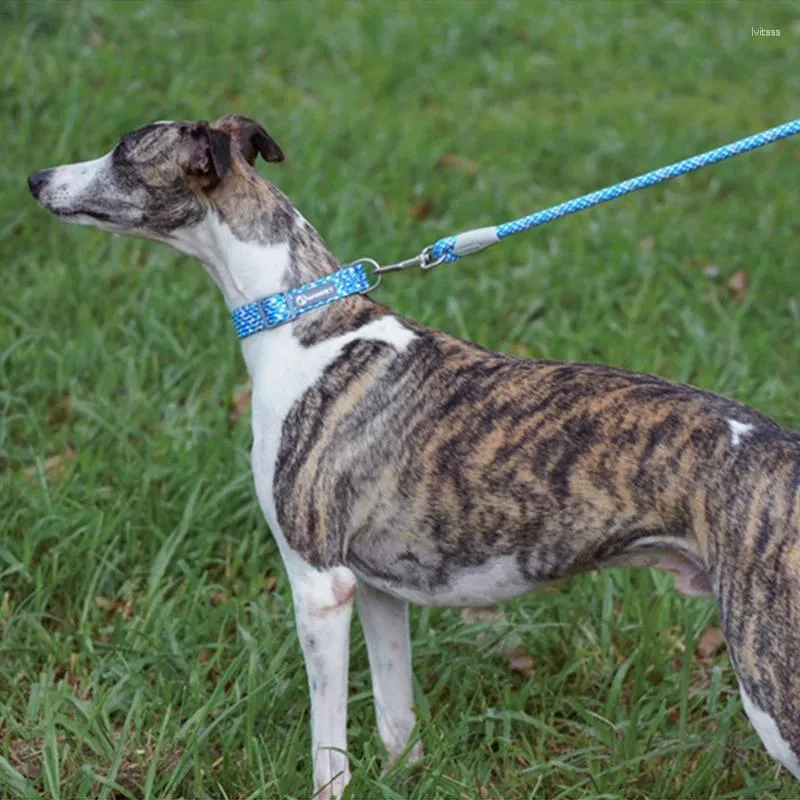 Hundhalsar nylon reflekterande dragkraft mode hundar bälte säkerhet lås promenader träning rep på natt husdjur produkter tillbehör