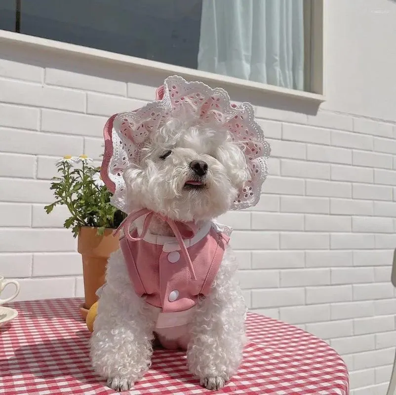 Abbigliamento per cani, completo da cameriera per animali domestici con cappello a cravatta ricamato in pizzo di alta qualità, comodo e delicato sulla pelle per forniture per cani gatti