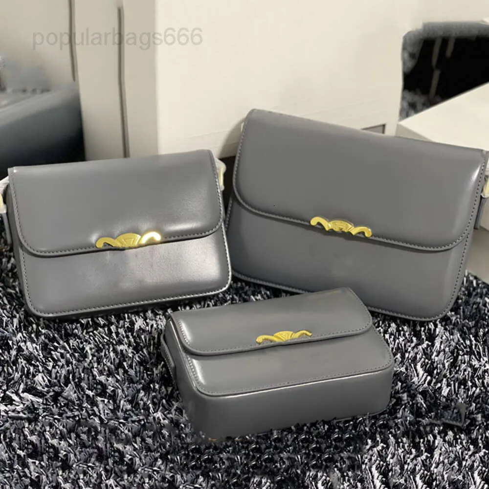 5A Borsa a tracolla Triumph per teenager con temperamento alla moda Borsa in pelle di alta qualità con staffa angolata di lusso Borsa per fotocamera Borsa per fotocamera Versione alta