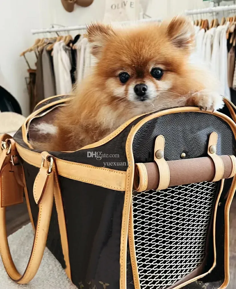 Pet carrier clearance designer