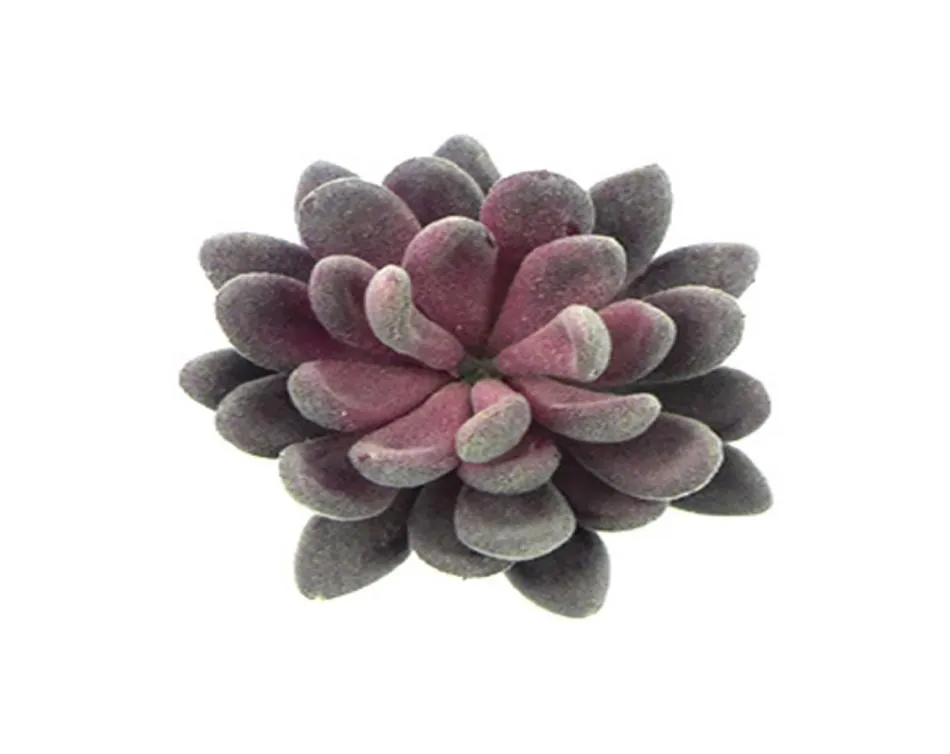 Bureau Salon Floqué Faux Faux Plantes Succulentes Artisanat Paysage Mini Simulation Bonsaï Décoration De La Maison Cadeau Artificiel Echeveria3044624