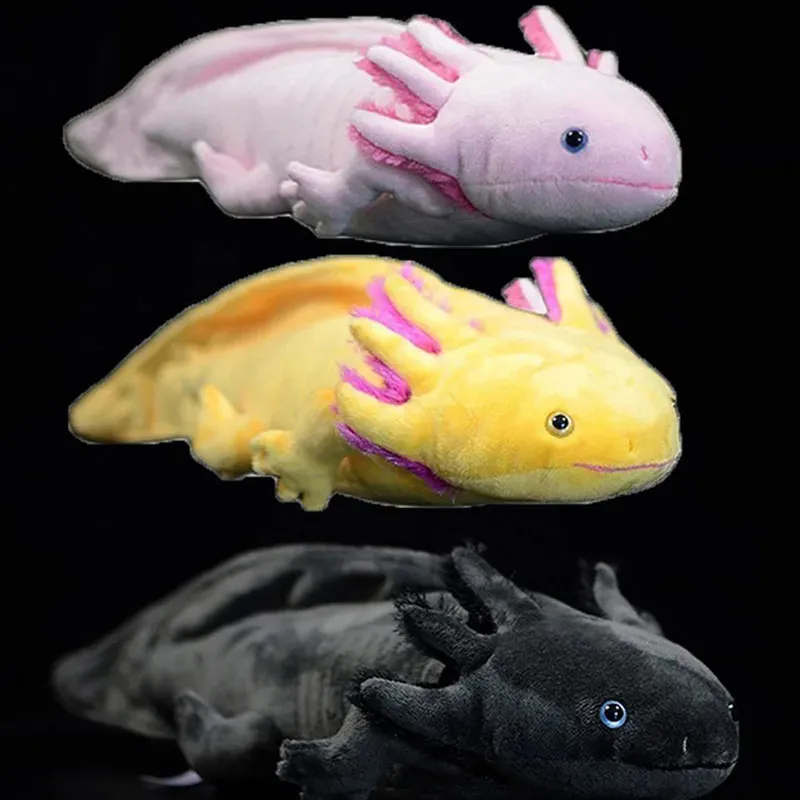 دمى Plush Axolotl Soft Studed Toy محاكاة واقعية AmbyStoma Mexicanum Pink Dinosaur Model Doll for Girl Audlt Gift 231211