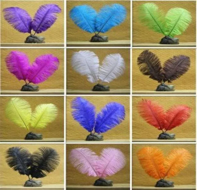 11 couleurs blanc noir Plumes d'autruche Plumes bijoux à bricoler soi-même plume d'autruche moelleuse garniture de fête de mariage Boa décor 100 pièces 68quot 1598466460029