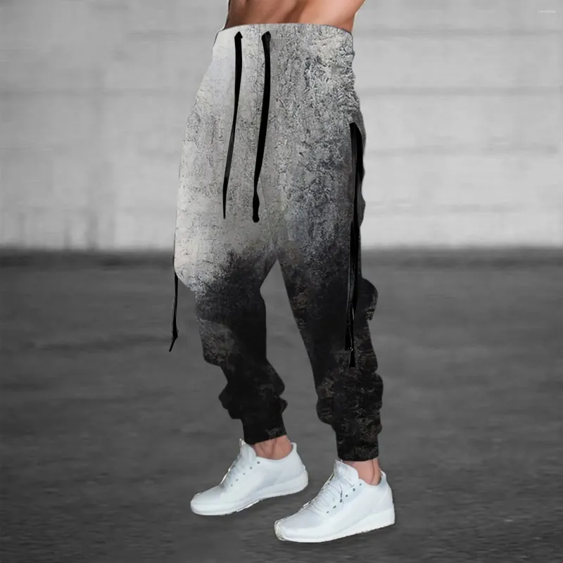 Männer Hosen Herren Digital Gedruckt Y2k Einfarbig Muster Jugend Casual Streetwear Cargo Koreanische Hip Hop Trainingsanzug