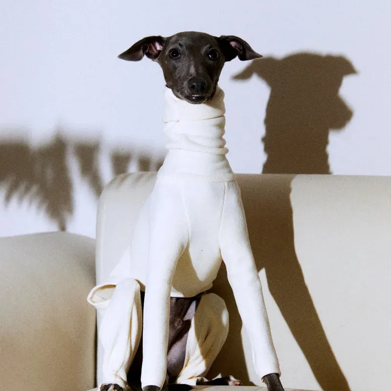 Vestuário para cães Italian Greyhound Whippet Outono e Inverno Turtleneck Dog Roupas Dupla Face Veludo Quatro Pernas Casaco Branco 231211