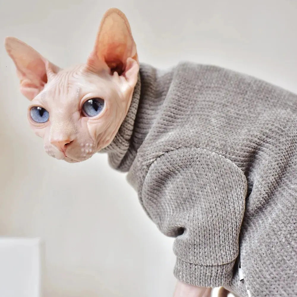 Cat sweater 2024