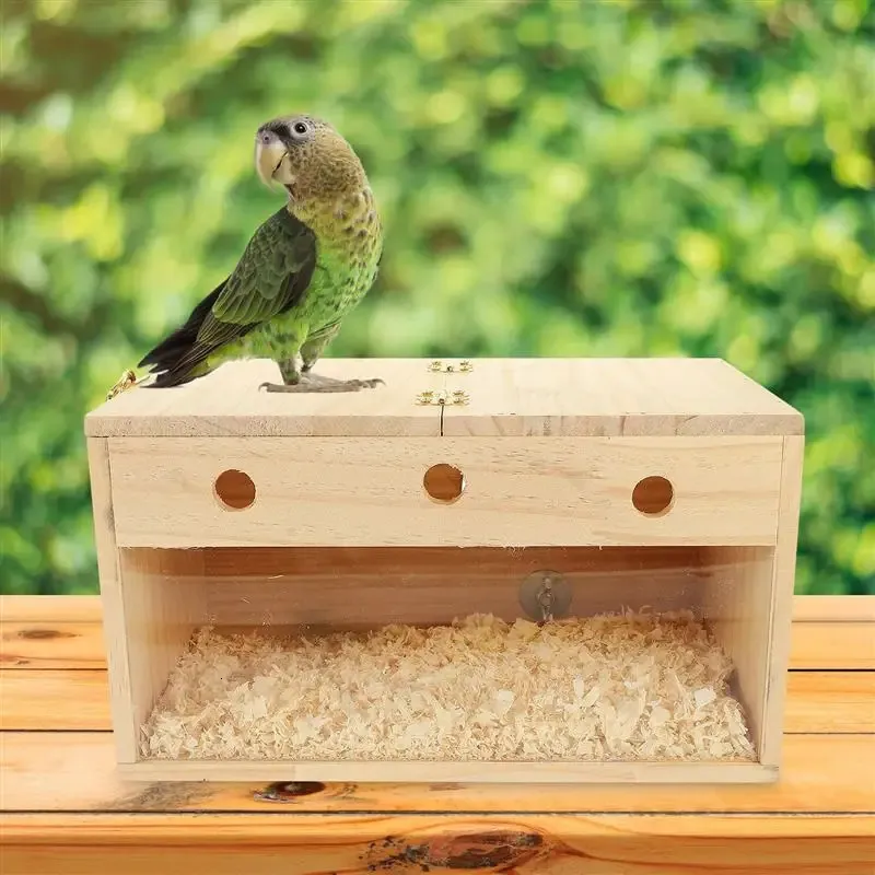 Budgie nest box pets at home deals