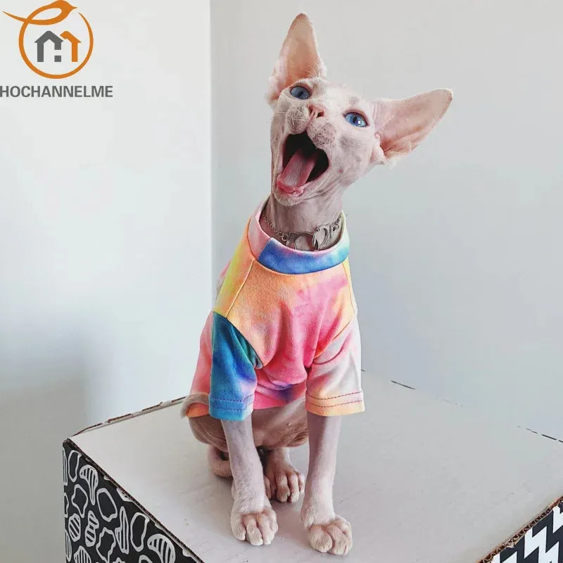 Costumi per gatti Vestiti per gatti senza peli Sphinx Deven Arcobaleno T-shirt traspirante Vestiti per animali domestici per cani di piccola taglia Camicia Abbigliamento per gatti 231212