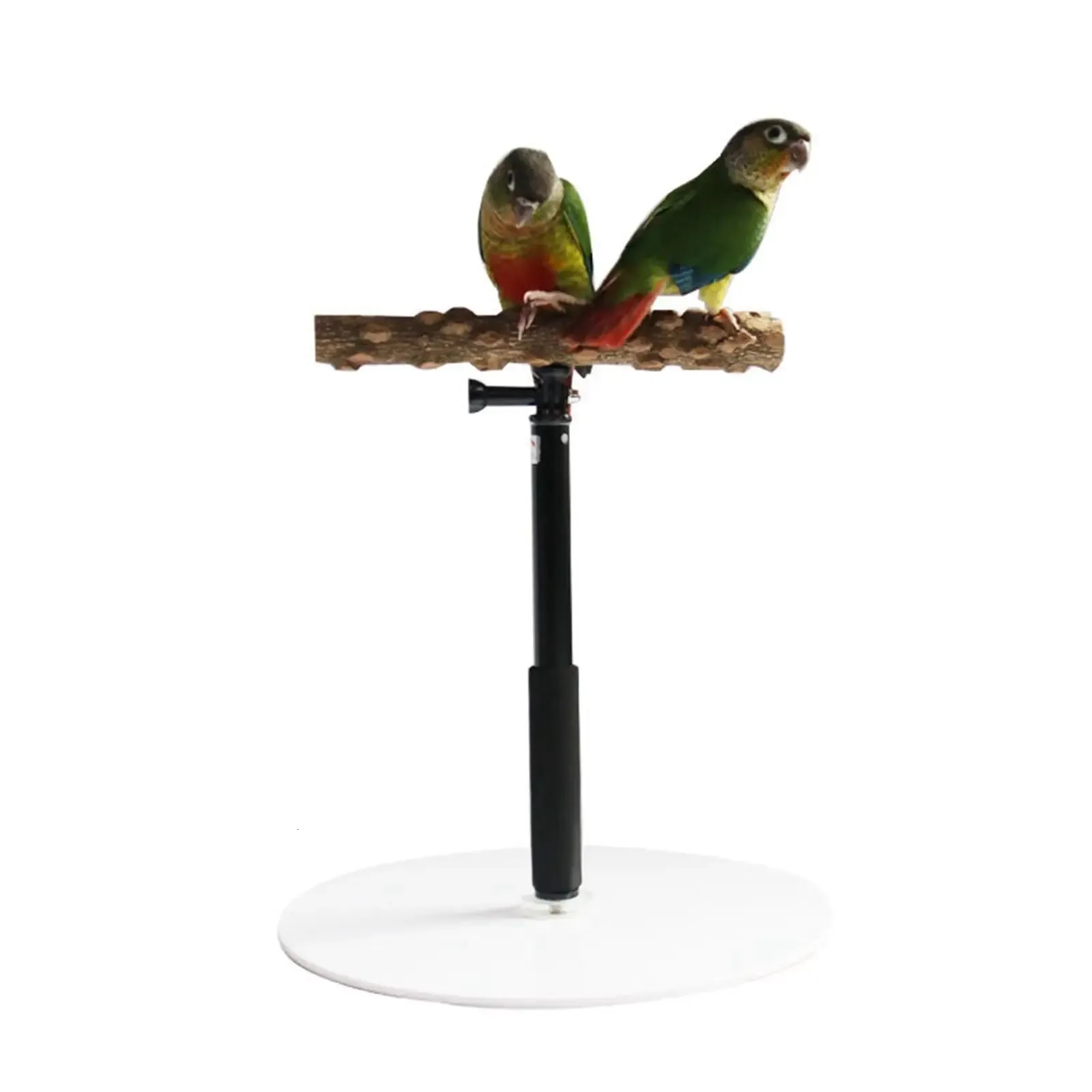 Portable T Stand Parrot Training Resting with Base Cage Bird Perch for Finch Conures Cockatiel Bird Cage Accessories