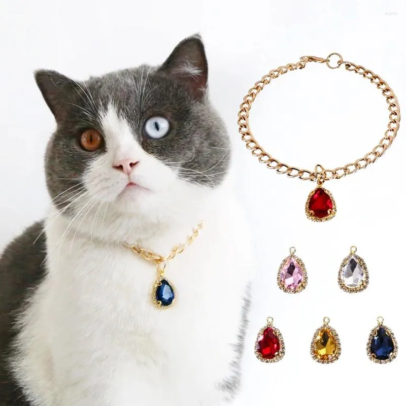 Hundkläder Diamond Pendant Pet Halsband för litet litet valpdjur med guldkedjekatt lyxig krage smycken grooming accessoarer