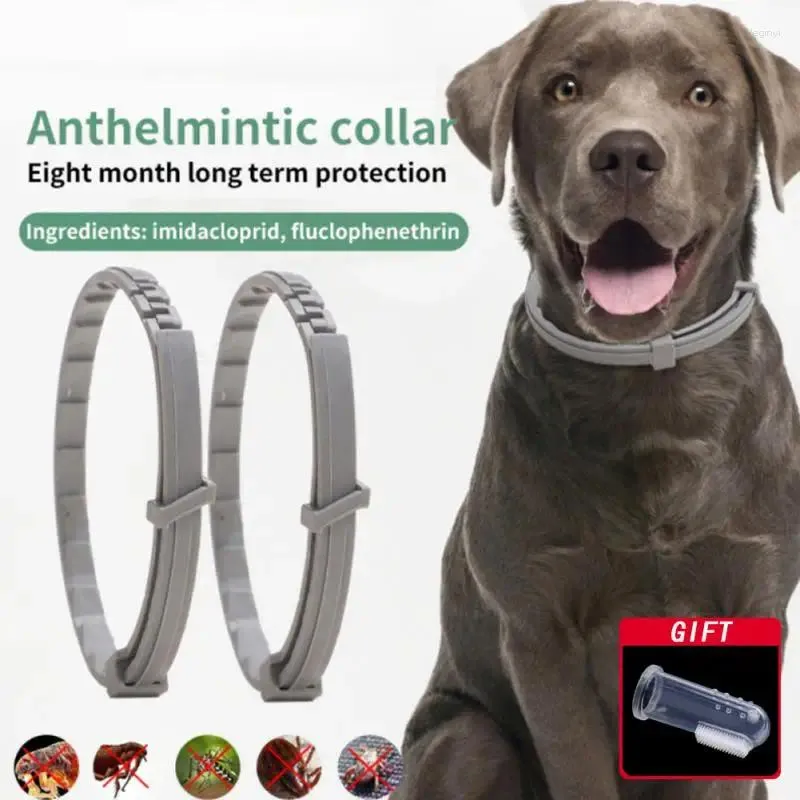 Dog Collars Adjustable & Cat Collar Flea Tick Prevention Pet Pest Control Protect Rubber Killer Accessories