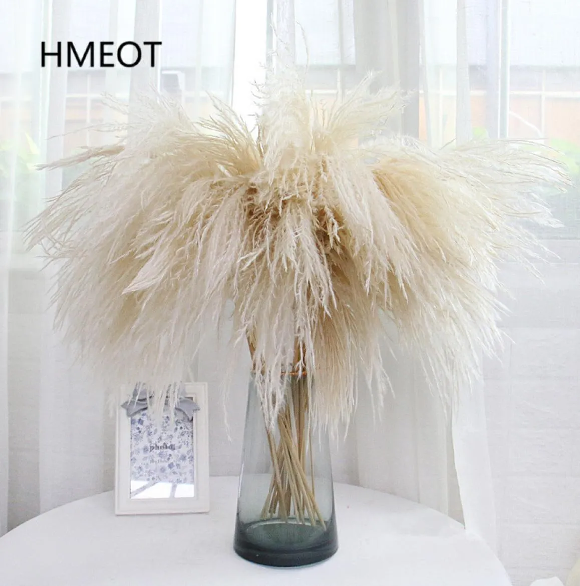 Pampas Grass Home Decor Reed Whisk Flor Seca Margarida Arranjo de Casamento Plantas de Natal Material Flores Artificiais 25pcslot 28764877