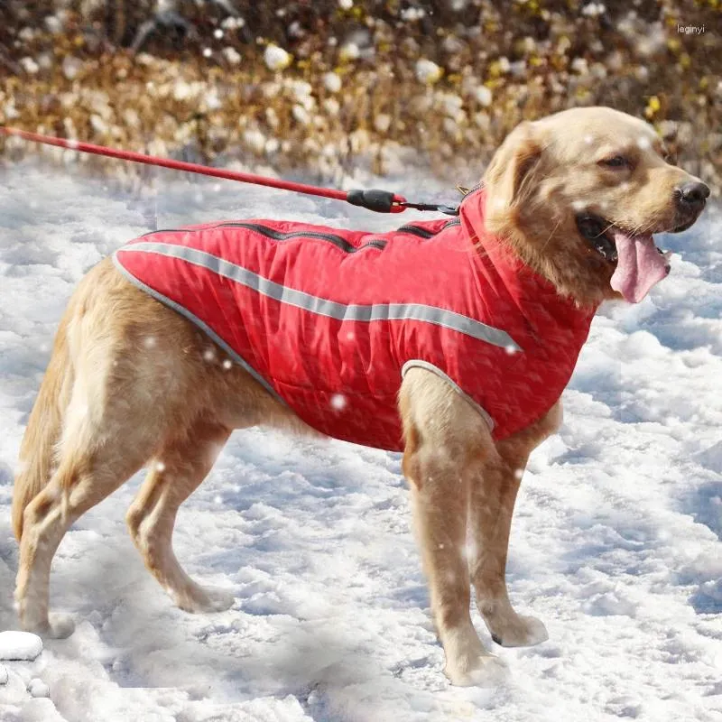 Ubrania dla psów ciepła duża kurtka wodoodporna ubrania szczeniaka odblaskowa płaszcz dla zwierząt zimowych duży akcesoria polar Husty Labrador