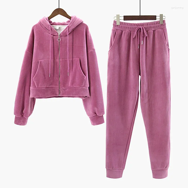 Pantalon de deux pièces pour femmes Femme Casual Sweats à capuche complets Gym Survêtement Sport Sweats Veste Manteau Bas Costume Pantalon Track Outfit Golden Velvet