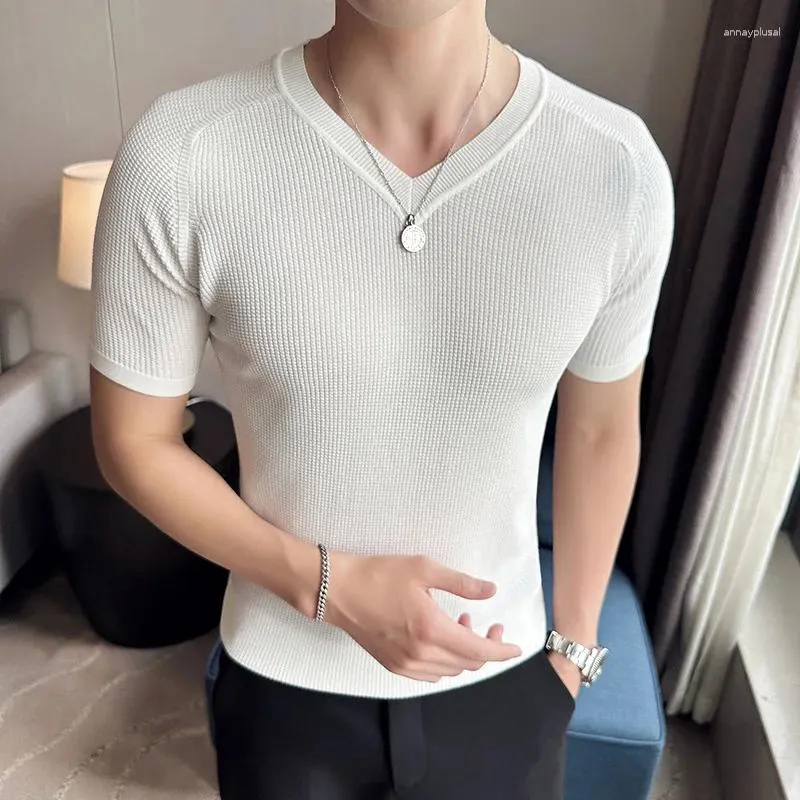 T-shirts pour hommes 5Colors Summer Ice Silk Respirant Col V Manches courtes pour hommes Vêtements 2023 Solid Slim Fit Casual Tee Shirt Homme 3XL