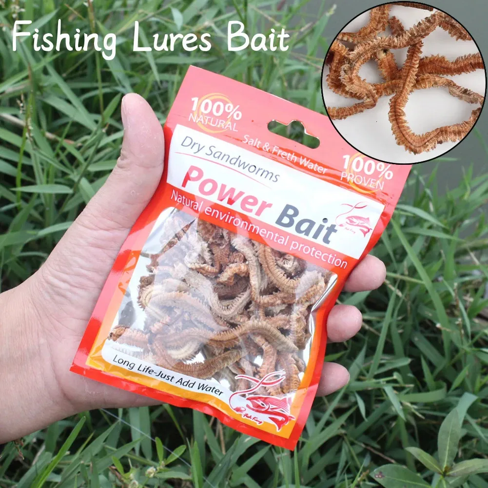 Baits Lures Dry Sandworms Fishing Bait Saltwater Freshwater Feeder For Sea  Carp Fish Artificial Accessories All 231214 From Bei09, $21.54